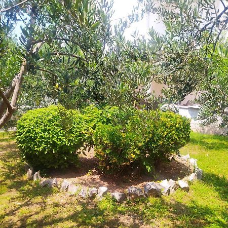 Apartmani Trubi 2 Vodice Eksteriør billede